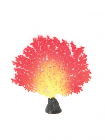 Coral Acropora vermelho decoração 15 cm